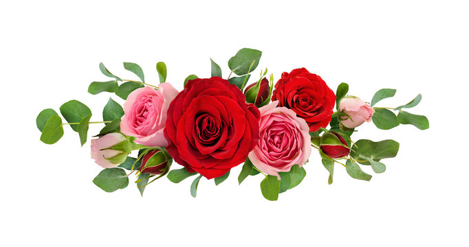 Red and pink rose flowers with eucalyptus leaves in a line arrangement