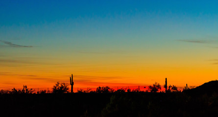 The Sonoran Desert in the southwest US is unique, open, full of various cactus, warm climate, hikers and outdoor enthusiasts explore the vast land