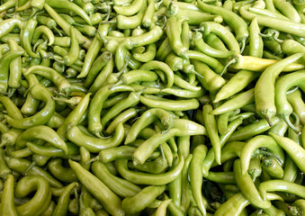 Vegetable background. Large pile of green peppers.