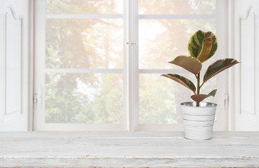 Wooden table with plant pot on blurred background of window