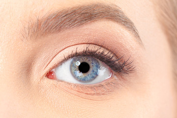 Fototapeta premium close up of beautiful woman eye
