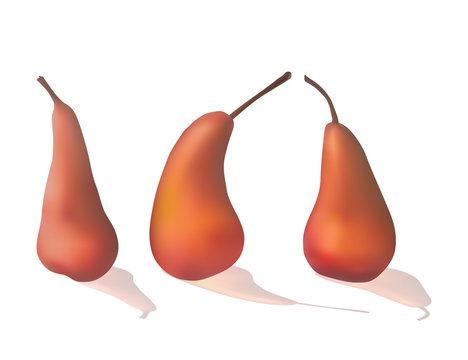 Set of ripe red pears. Fresh fruit. Vector illustration. Healthy diet.