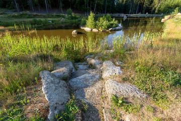 Fototapeta na wymiar pond in the summer forest