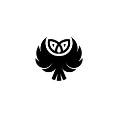 Owl bird