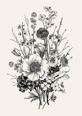 Obraz premium Bukiet. Wiosenne kwiaty i gałązka. Piwonie, Spirea, Kwiat wiśni, Dereń. Vintage ilustracji botanicznych. Czarny i biały