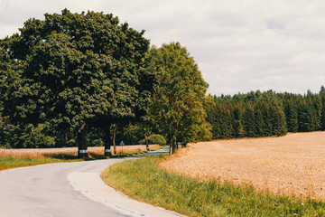 road on Beautiful spring rural landscape