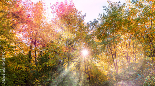 500_F_194557792_hObjrZC9OSS2wFyVIdWwsm5JeUcVSyLz.jpg