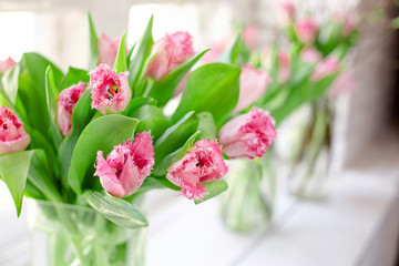 Pink tulips in a glass vase