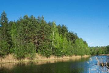 Forest river in Russia