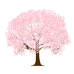 Obraz premium 桜 春 花 アイコン 
