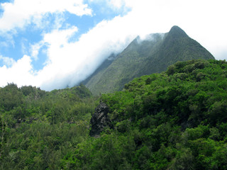 Fototapeta na wymiar Cilaos / La Reunion: Lush vegetation in front of the mist descended elongated northern mountain slopes of „Le Dimitile“ mountain