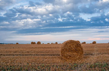 Beautiful countryside landscape. Round straw bales in harvested fields and blue sky with clouds