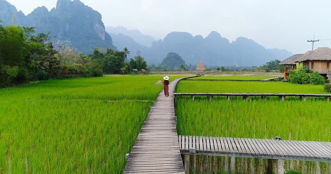 Footage of Young woman walking on wooden path with green rice field in Vang Vieng, Laos. 4K