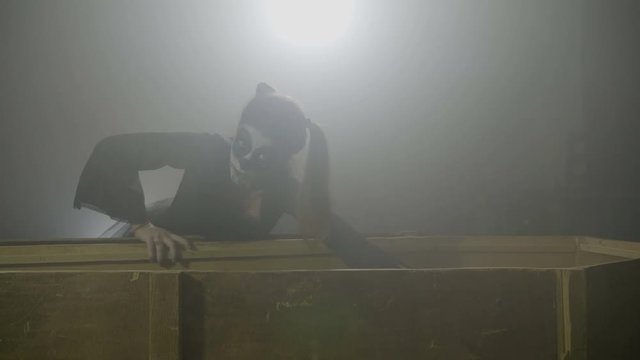 Creepy female dolly zombie closing her vampire partner in his coffin and laughing crazy on halloween day of the dead