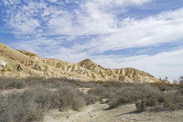 desert mountains and vegetation in Wadi Zin in the Negev Highlands near Sde Boker
