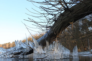 Eiszeit an der Berliner Havel (1. M&auml;rz 2018)
