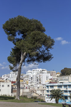 Streets, corners, details and corners of Tanger