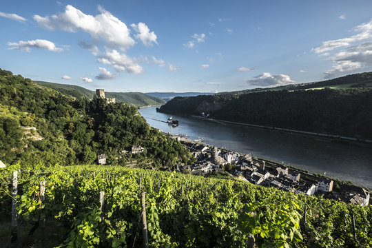 Gutenfels castle with vineyards in the foreground