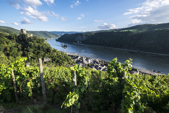 Gutenfels castle with vineyards in the foreground
