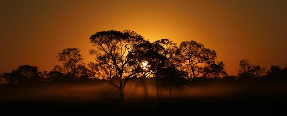 Sunset in the Pantanal, Mato Grosso do Sul, Brazil, South America