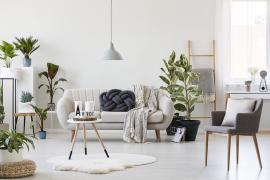 Bright living room with plants