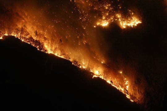 Night photography of a wildfire in a mountain forest