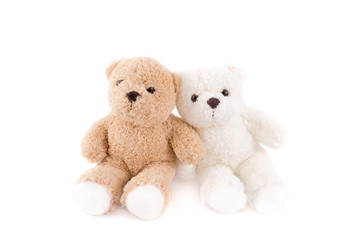 Two lover of white and brown fluffy cute romantic teddy bear cuddle together with white background.