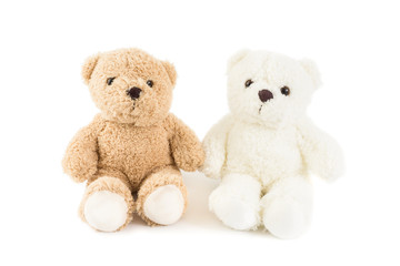 Two lover of white and brown fluffy cute romantic teddy bear cuddle together with white background.