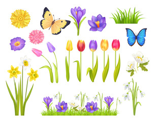 Flowers and Butterflies Set Vector Illustration