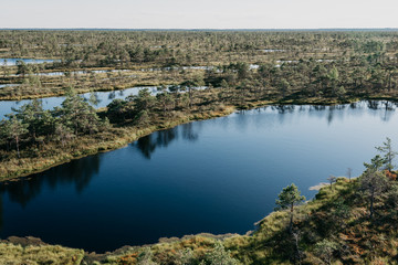 Big swamp lake between other lakes in summer. Kemeru Latvia