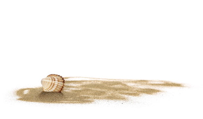 Sea shells in sand pile isolated on white background