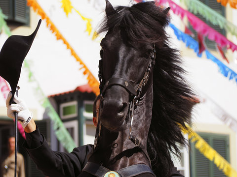 Horse In A Traditional Party