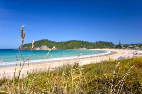 Beautiful wide angle view of Matapouri Beach near Whangarei on the North Island of New Zealand. Grass in the foreground. The close by Mermaid rock pools make it a popular tourist destination.