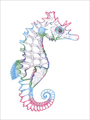 Color illustration of a sea animal. Figure seahorse.