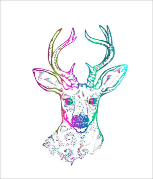 Illustration of a deer with peacock feathers in horns. Color vector of decorated deer.
