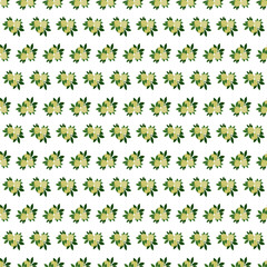 Bedding with a pattern of flowering. Seamless background with white green flowers. Veil vector illustration.