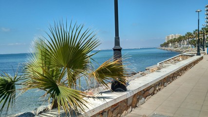Palmera junto a una farola en un paseo marítimo en el Mar Menor