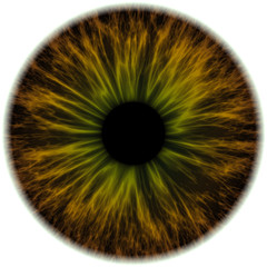 Illustration of a brown with green human iris. Digital artwork creative graphic design.