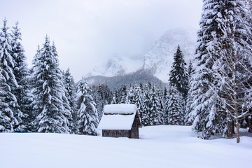 Trail in the snow. Sappada