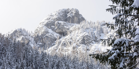 Fototapeta na wymiar Landscape in the snow. Sappada