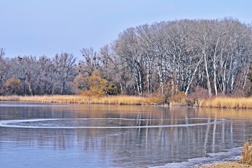 Panozzalacke eingefroren im Nationalpark Lobau - Donauauen