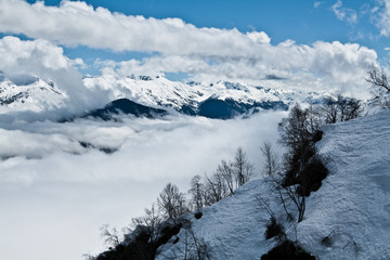 landscapes of the slopes of the mountains in the snow, something which is a forest