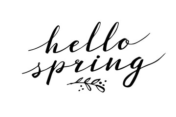 Hello Spring. Hand drawn calligraphy and brush pen lettering. design for holiday greeting and seasonal spring holiday card. White background © 9dreamstudio