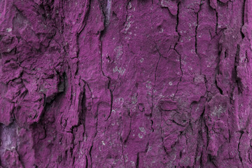 textura de corteza de &aacute;rbol magenta