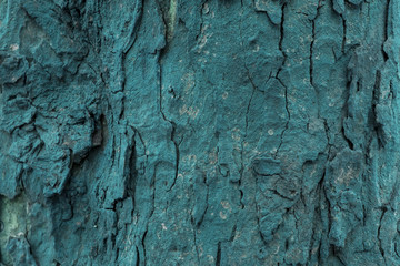textura de corteza de &aacute;rbol color turquesa