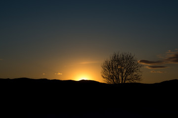 春の夕暮れの空と冬木立