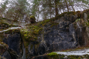 Forest Ruskeala/ at the entrance to the cave of the marble canyon