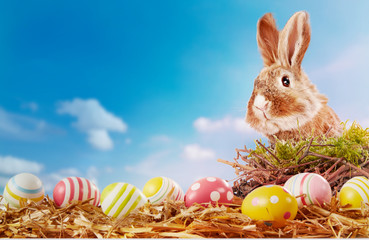 Cute little brown Easter bunny with decorated eggs