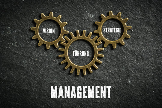 Management als Zusammenspiel aus Vision, Strategie und Führung