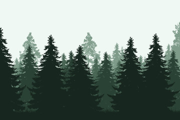 Green coniferous forest with grass - realistic vector